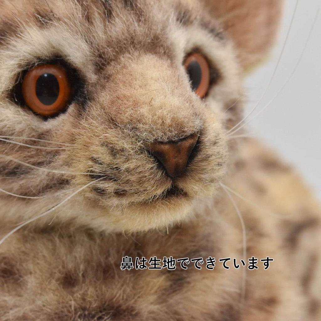 BH7844 HANSA Bengal Wildcat 35