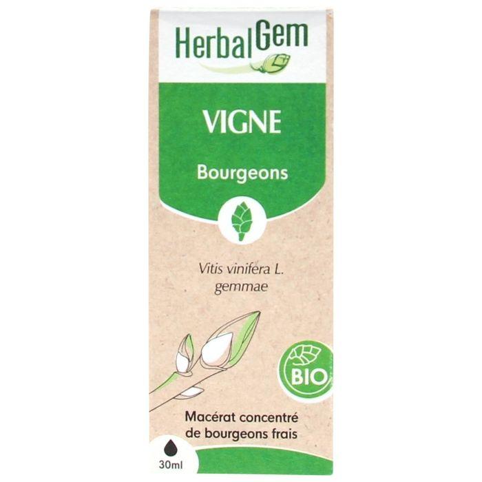 Herbalgem Macérat Concentré Vigne Bio 30ml