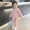 Girls Spring Autumn Tracksuit Long Sleeve Hoodie And Casual Pants 2 Piece Set Kids Sportswear