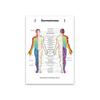 Gráfico de Dermatomas y Nervios Cutáneos Póster de Anatomía para Estudio Médico y Enseñanza Decoración de Pared Artística Póster para el Hogar