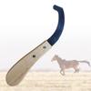 Bot Fly Egg Scraper Tools Lightweight with Handle Compact Horse Farrier Tool