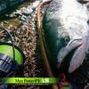 VARIVAS Max Power PE X8 Lime Line, Green, 200m, 0.6