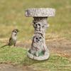 Raccoon Bird Feeder, Lawn Ornament, Unique Garden Decorations Resin Shaped Sculpture Animal