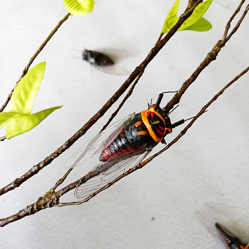 Simulation Insect Uang Cicada Cricket Frog Gardening Micro-landscape Decoration Teaching Refrigerator Stickers