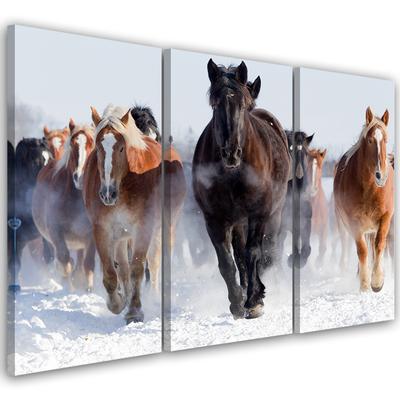 Three Piece Picture Canvas Print Horses At a Gallop Winter