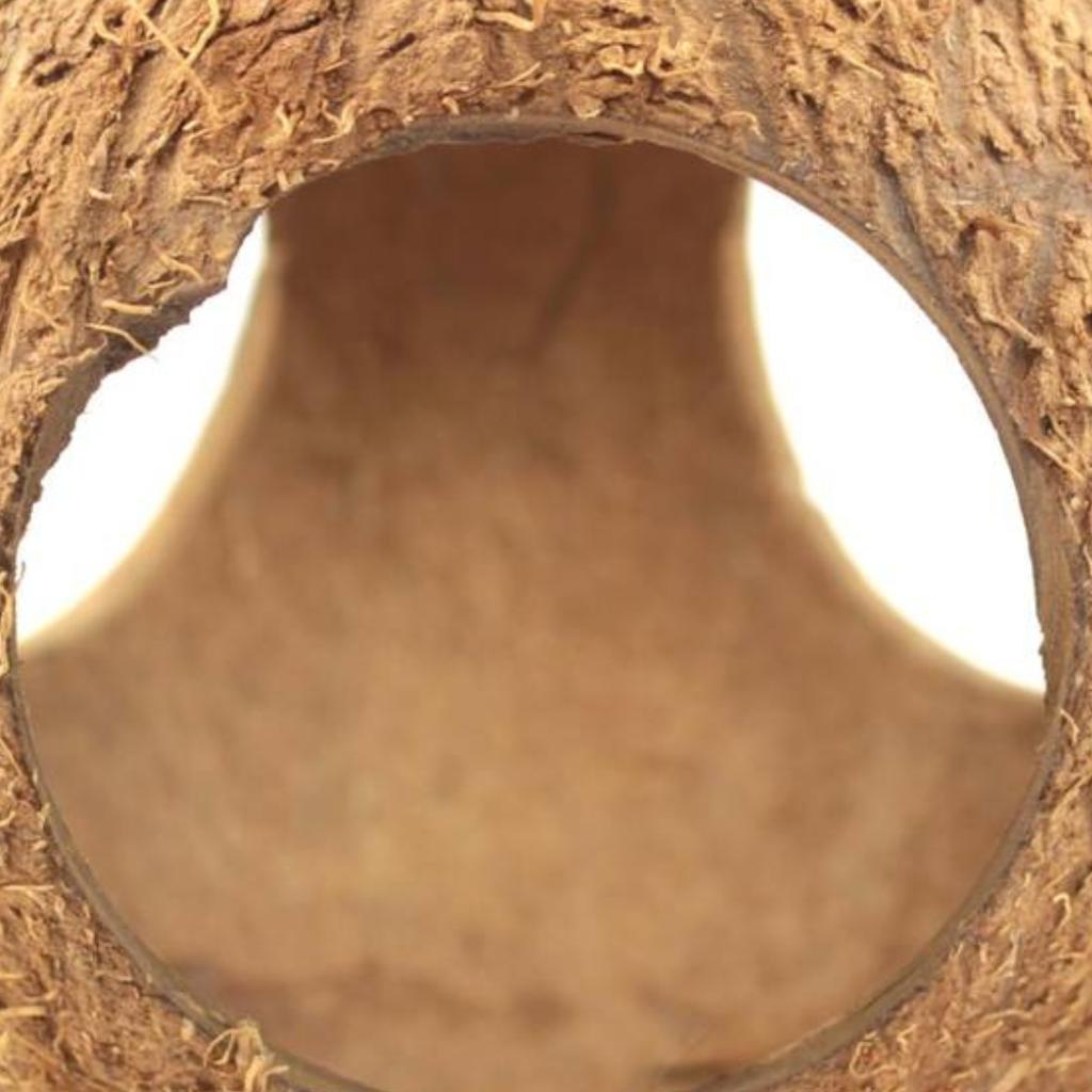Kokos Cały Z Trzema Otworami- Diy - Naturalna Zabawka Z Eko Kokosa Dla Papug