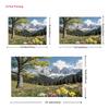 2D Alpine Daffodil Backdrop 2D Snow Mountain Forest Spring Photo Background for Party