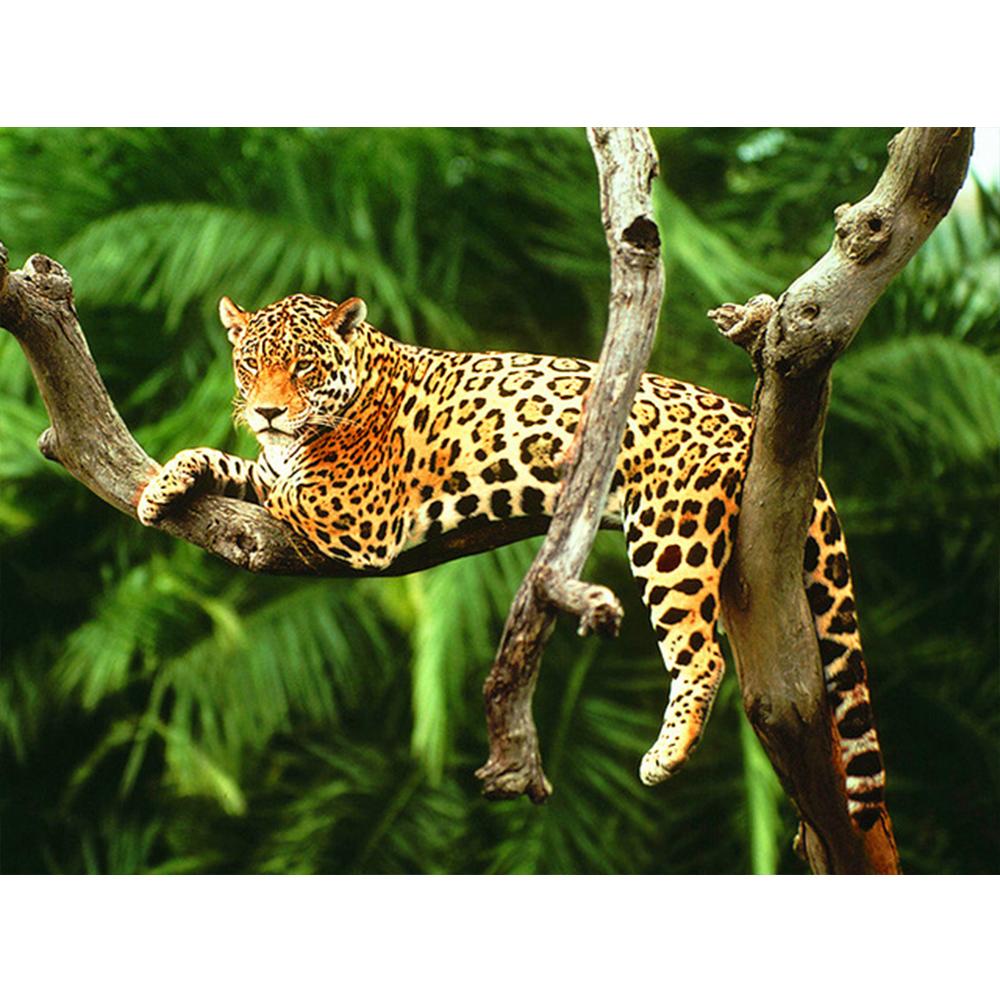 Full 5D Diamond Painting Animals and Women DIY Diamond Embroidery Diamond Mosaic Cross Stitch Kits Home Decor Gift