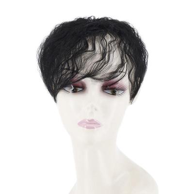 Women Short Curly Hair Extensions Wig Clip On The Top of The Head Cover White Hair Natural Color Black Brown Blond Daily Use