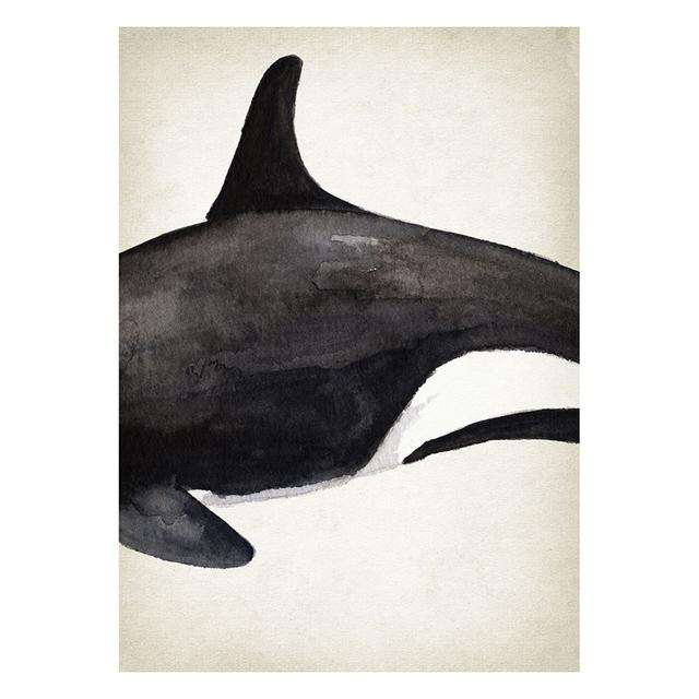 Marine Animals Canvas Paintings Great White Shark Posters and Prints Killer Whale Wall Art Picture for Home Decoration No Frame