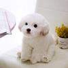 Adorable White Maltese Plush Toy, Fiber Filled, Long Haired Stuffed Animal, 33x24x16cm/38x26x21cm