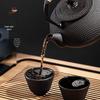 Nordic Style Cast Iron Tea Kettle