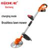 Bocheng Cordless Electric Weeder & Lawn Mower CN plug (adapter included)