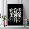 Black Australian Shepherd Pattern  3pcs 100% Round Full Drill 5D DIY Diamond Painting Embroidery Cross Stitch Rhinestone Décor