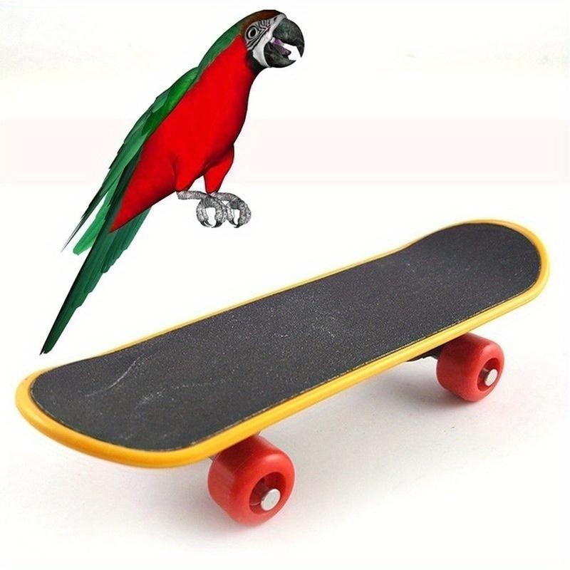 Bird Parrot Intelligence Toys Mini Training Skateboard Parakeet Growth Toy