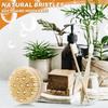 Holz-Badebürste mit langem Griff und natürlichen Wildschweinborsten, abnehmbarer Kopf für Dusche, Peeling und gründliche Körperreinigung