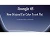 Shangjie H5 2025 Full Surround Trunk Mat - Interior Car Accessory for Tail Box