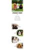 Sturdy Plush Toy Horse in White, Black, and Brown