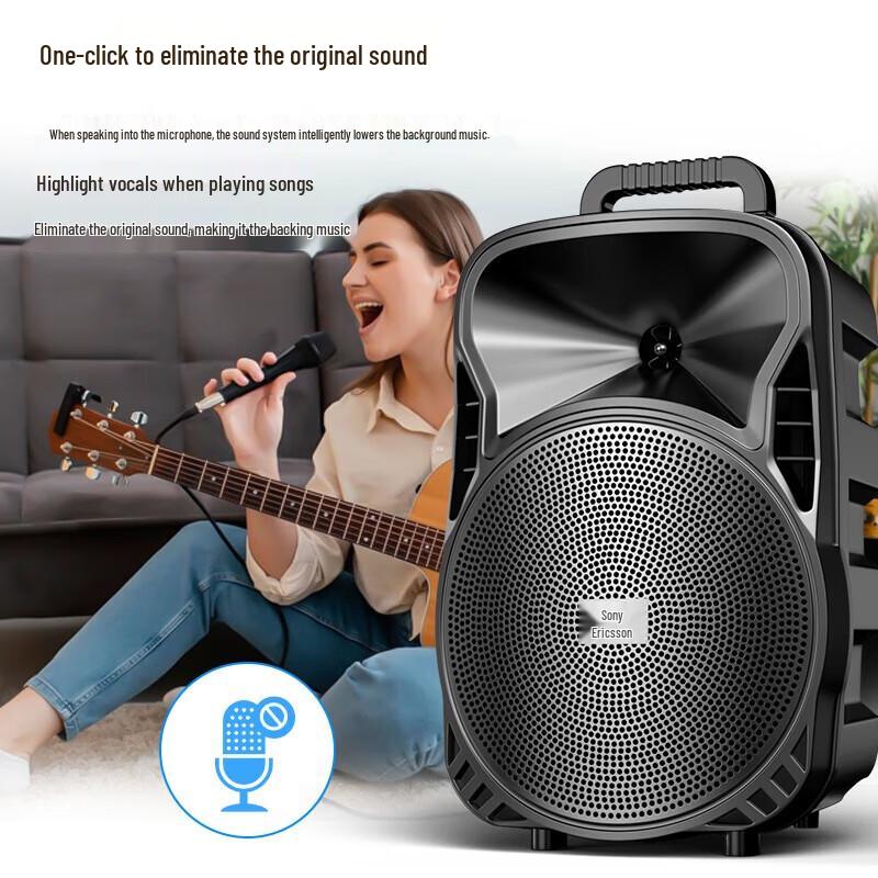 Soaiy ST-809WM Portable Karaoke Speaker