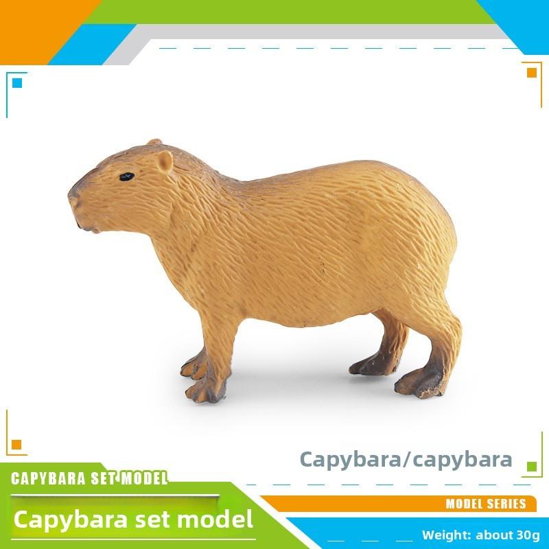 Realistic Pvc Capybara Animal Model Collection With Assembly Features For Kids Learning And Decoration