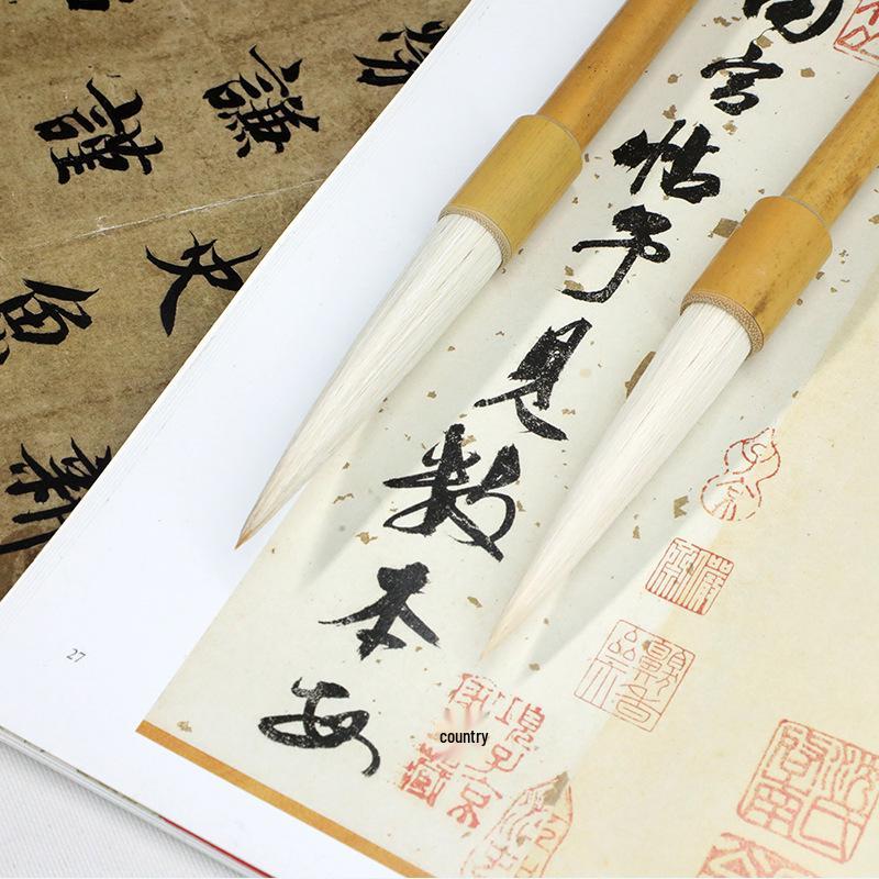 Wool Brush with Long Handle and Special Tip for Traditional Chinese Calligraphy and Painting
