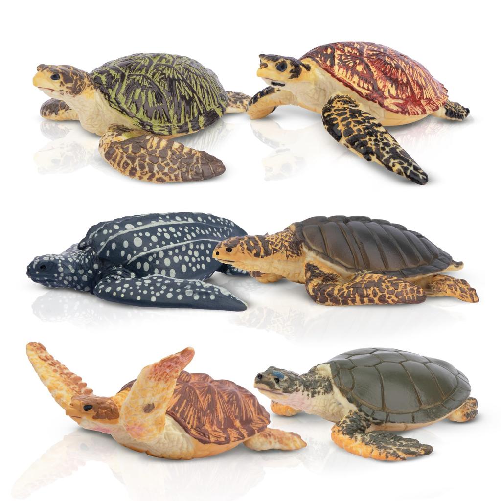 TOYMANY Animal 6 Pieces Turtle Marine Animal Realistic Animal Turtle Popular Birthday New Ages 6 and Up Figures, Figures, Set, Model, Lover, Animal,