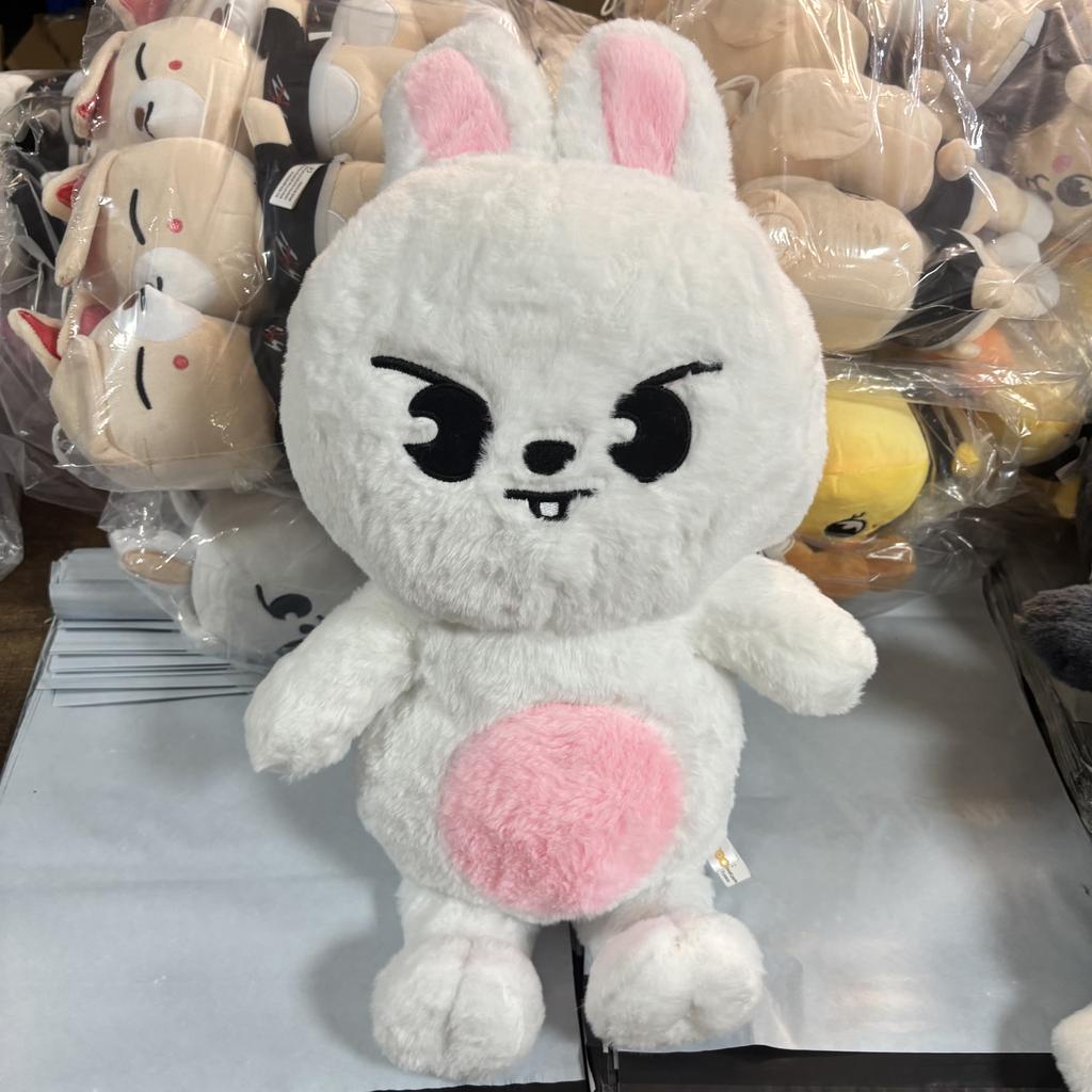 Fans Plush Toy Teddy Hug Pillow Doll Fans Gift Plush Toy Seoul FM Week Cloak Doll Magic School Kid Birthday Gift