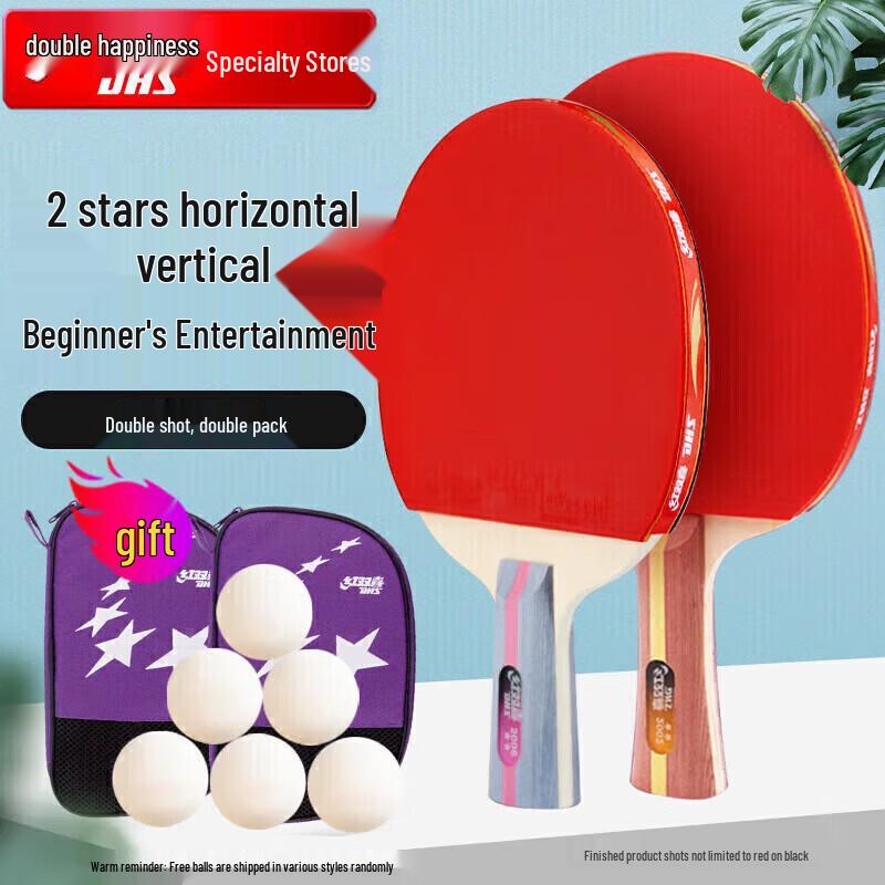 DHS H2 2-Star Table Tennis Racket Set