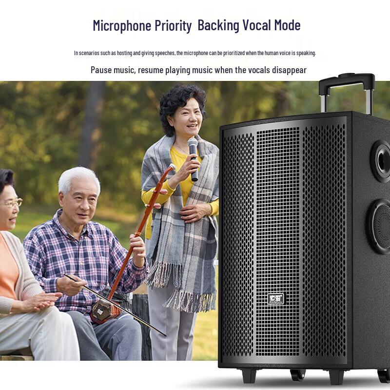 Suoai SA-X72 8-inch Portable Karaoke Speaker with Dual Mics