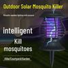 Menaj și curățenie – Împotriva insectelor