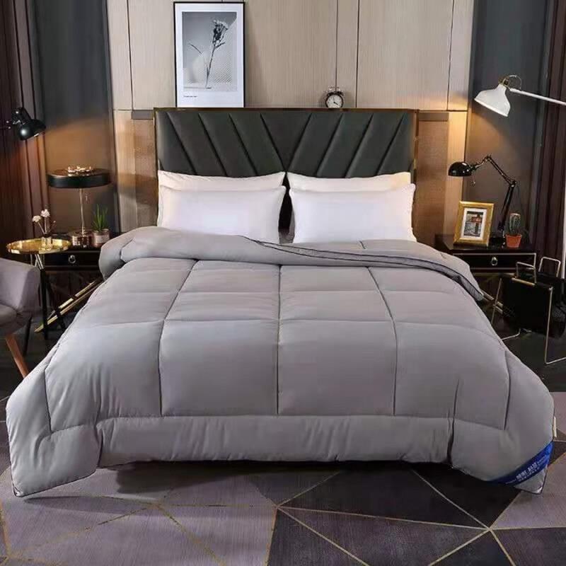 Oeny All-Season Hotel & Dormitory Duvet Insert