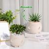 Self Watering Plant Pot 4 Inch Cute Smile Face Planter Pot for Indoor Outdoor Plants with Drainage Hole Unique Flower Pots for