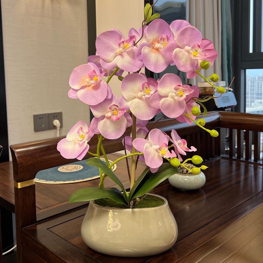 Flori Artificiale Phalaenopsis în Vas Ceramic - Ideal pentru Decorarea Sufrageriei sau a Mesei de Dining