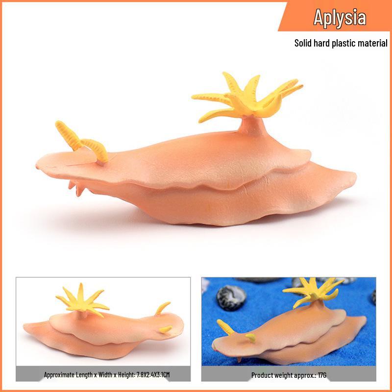 Kids Marine Life Models: Sea Slug, Sea Hare, Squid, Cuttlefish, Octopus – Creative Soft Decor.