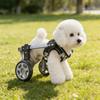 Lightweight Adjustable Pet Wheelchair Two Wheel Mobility Support For Disabled Dog Various Size Option