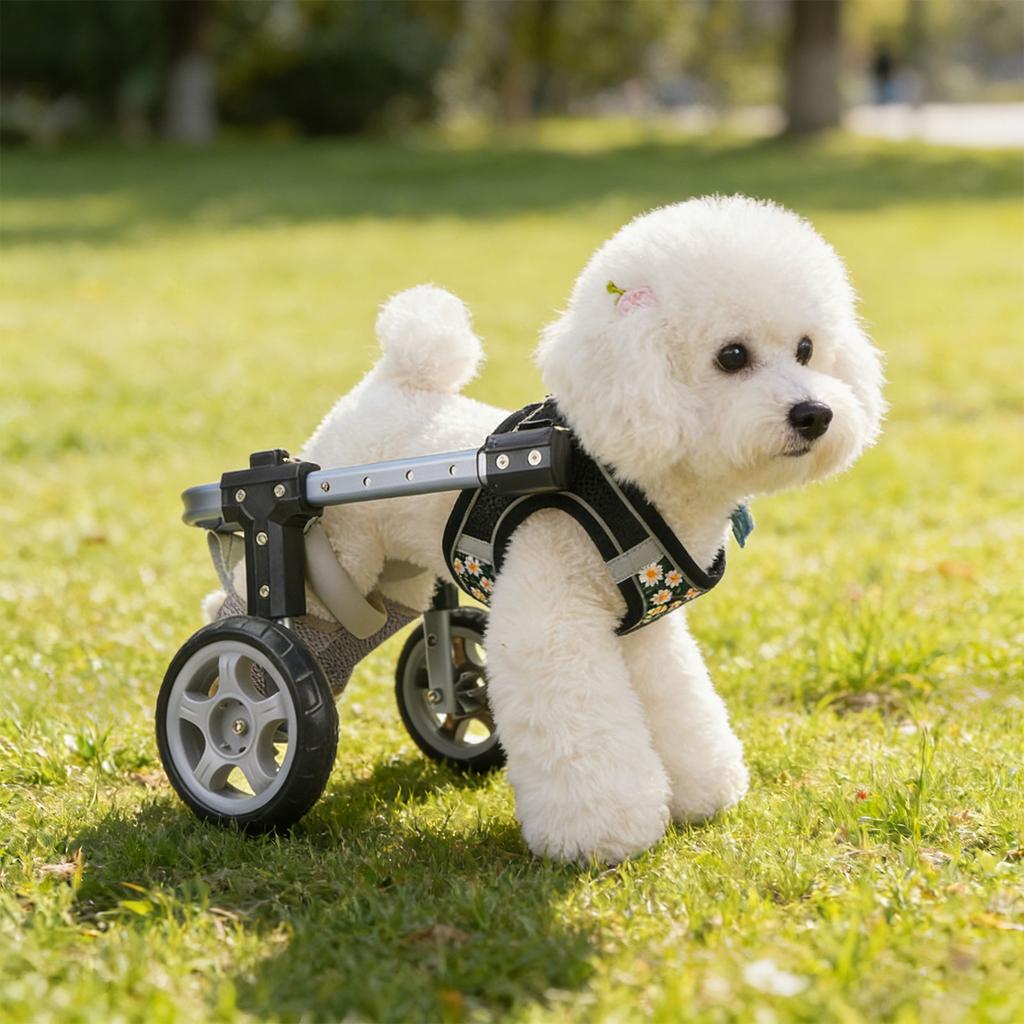 Lightweight Adjustable Pet Wheelchair Two Wheel Mobility Support For Disabled Dog Various Size Option