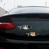 Cat Car Sticker Zipper Cat Puppet Teddy Border Collie Puppy Cute Creative Personality Pet Car Decorative Sticker 1Pc