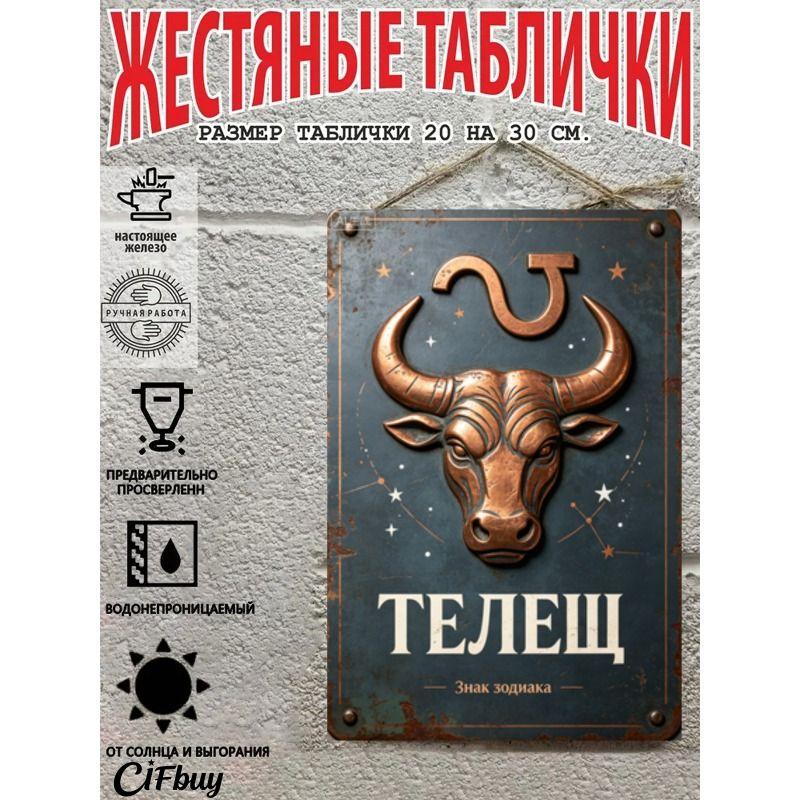 Vintage Metal Wall Poster Zodiac Sign, Living Room Decor, 20x30cm