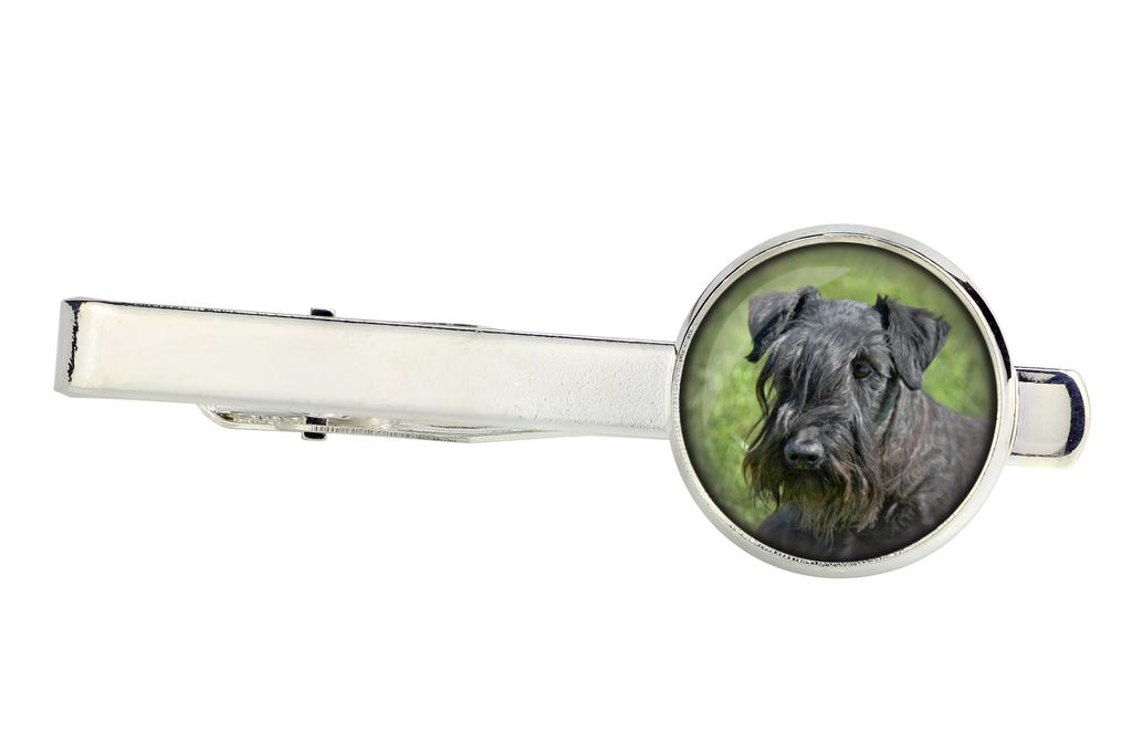 Cesky Terrier, Czech Terrier, Bohemian Terrier - cufflinks and tie with your photo, a suit decoration, men's jewelry from the Art-Dog brand.