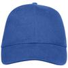 Buffalo 6 Panel Baseball Cap