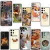 Squirrel Cute Animals Phone Case For Samsung Galaxy S23 S22 Ultra Note 20 10 S8 S9 S10 Plus S20 FE S21 FE Cover