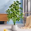 Plastic Material Fake Palm Plants Large Size Plastic Shrub Leaves  For Outdoor Decor