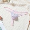 Low Waist Men's Lace Thong Transparent T-back Briefs Men Breathable Mesh Sheer Panties  Role Play