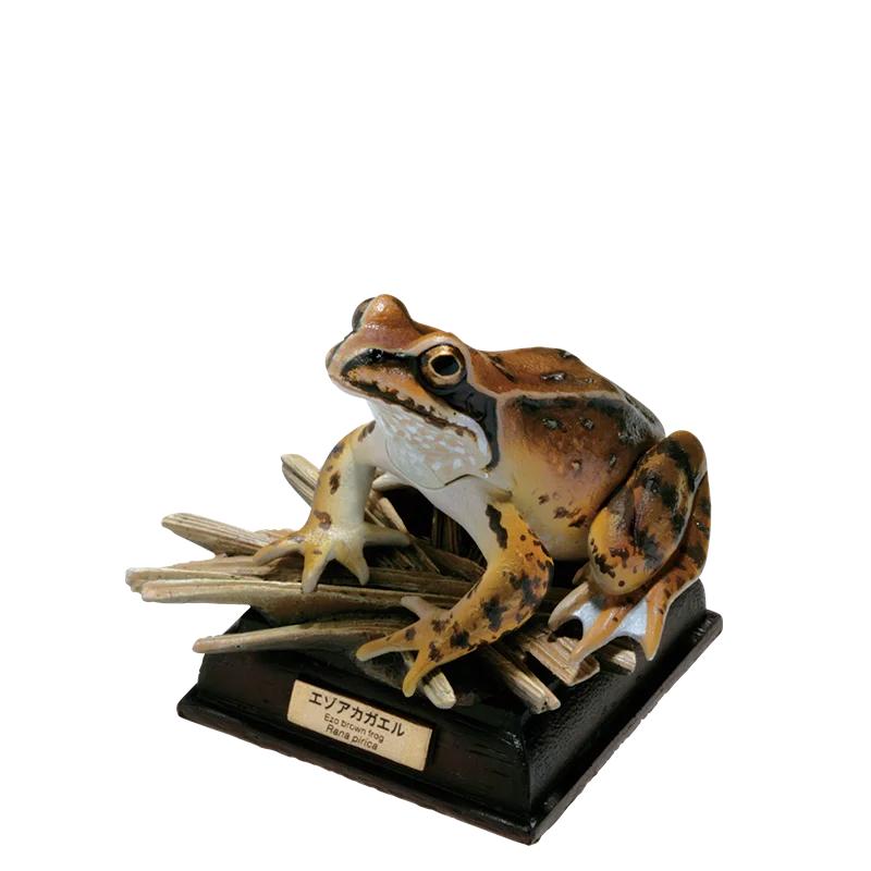 

NATURE TECHNI COLOUR Toad Series Gashapon Playthings Simulation Model Ornaments Box FIGURE MODEL Playthings great for daily use 5cm to 8cm