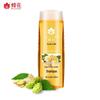 Ingwer Haarstärkendes Shampoo (2 x 500 ml)
