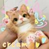 Gato Grande Taba Squishy Silicone de Grau Alimentício Gatinho Macio Brinquedo Fidget ASMR Brinquedo de Apertar Alívio do Estresse Brinquedo Inovador Para Crianças Presente