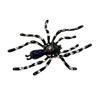 Bag Ornament Big Spider Badge Clothes Backpack Poisonous Spider Brooches  Trousers