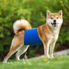 Pet Belly Band Adjustable Leak-proof Fabric Diaper Dog Shorts Pet Physiological Pants for Female Dogs