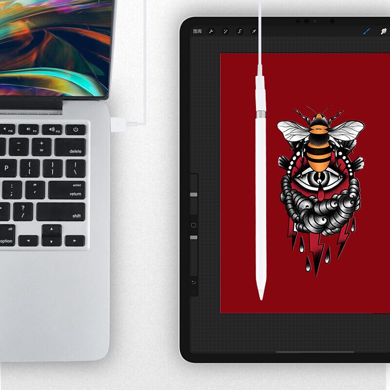 CangHua Apple Pencil & iPad Stylus Accessories