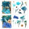 1 Bag Dried Flowers Pressed Dry Flower For DIY Phone Case Epoxy Resin Filling Pendant Jewelry Making Crafts Nail Art Decor